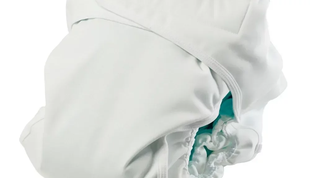 Santé des utilisateurs de couches pour adulte : état des lieux