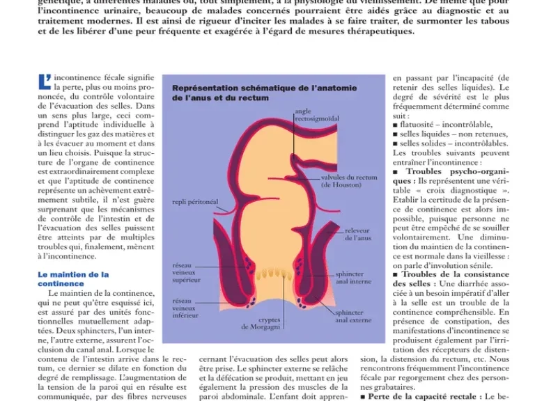 Incontinence fécale : le guide ultime pour la gérer